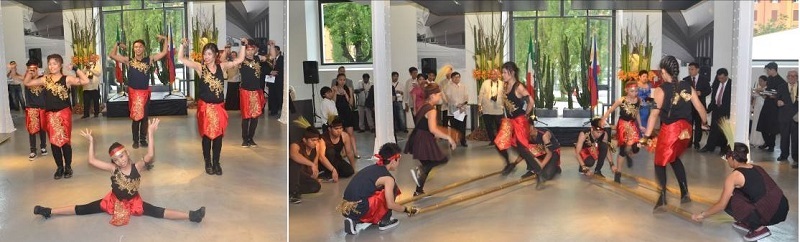 maxxi4